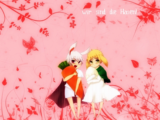 wir sind die hasen!