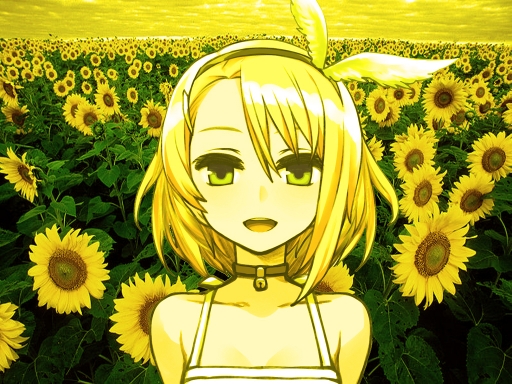 Rin the Yellow Sunflower