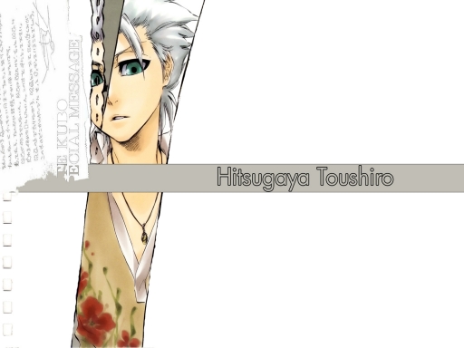 Clean Hitsugaya