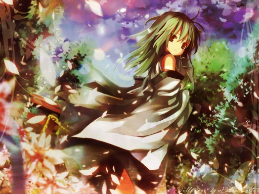 The Ties Between Dream and Win