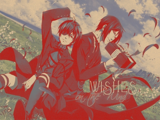 Wishes-on the wind~
