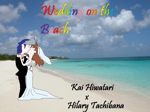 Wedding on the Beach
