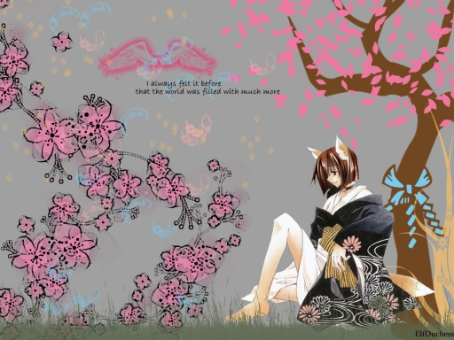 Under the Sakura Tree