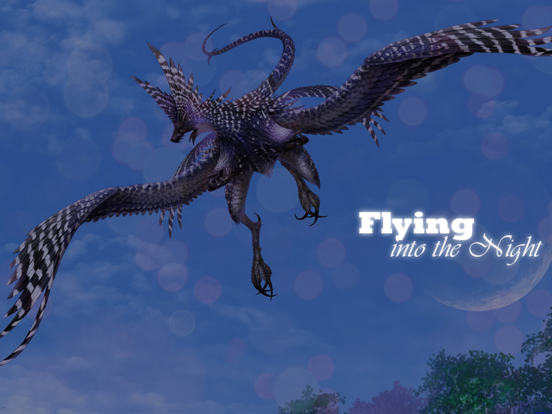 Flying into the Night