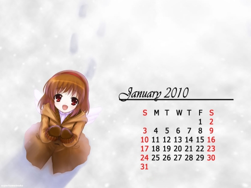 January 2010 Calendar