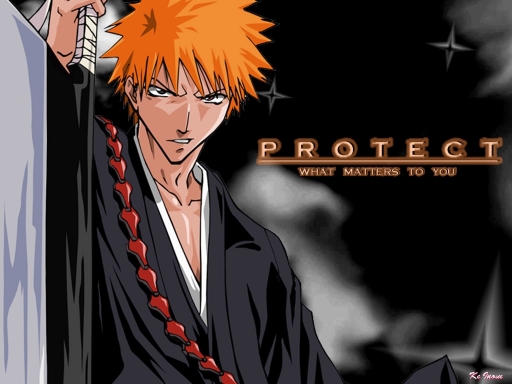 PROTECT//Ichigo