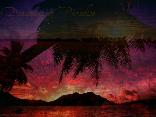 Dreaming of Paradise