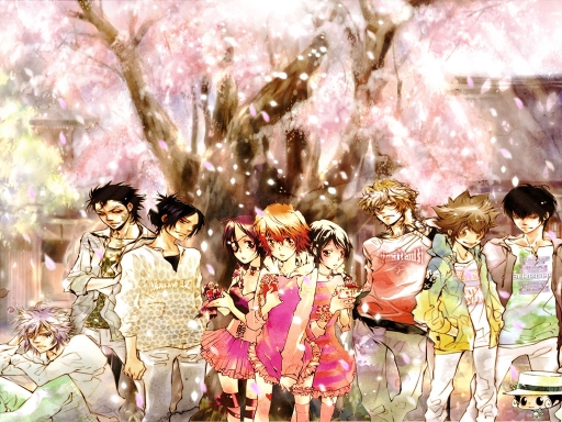 Katekyo Hitman Reborn