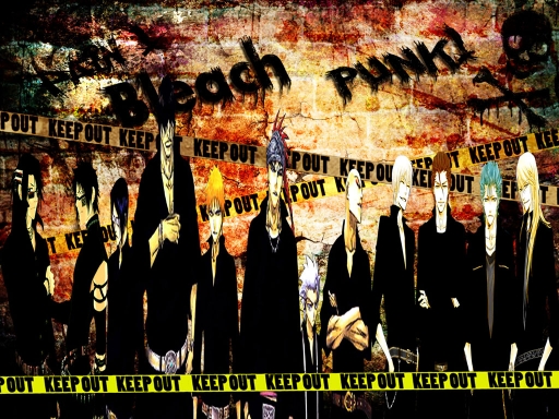 Bleach Punk!
