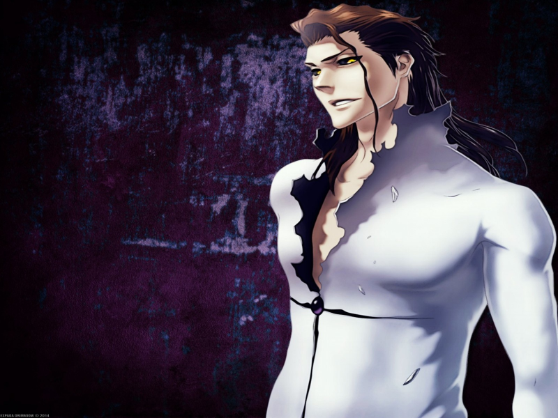 Sousuke Aizen