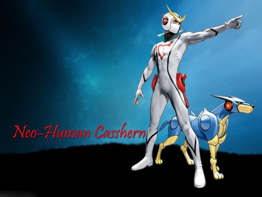 neo-human casshern