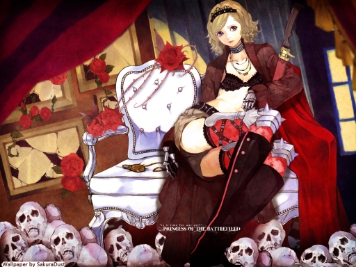 Battlefield Princess