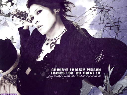 Goodbye foolish person...