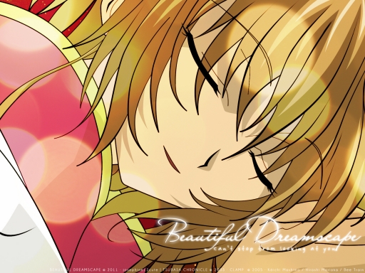 Beautiful Dreamscape