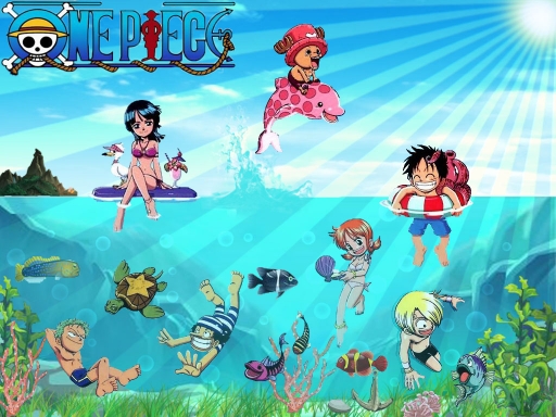 one piece summer time