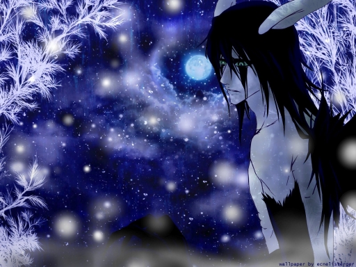 The Disappearing Warmth