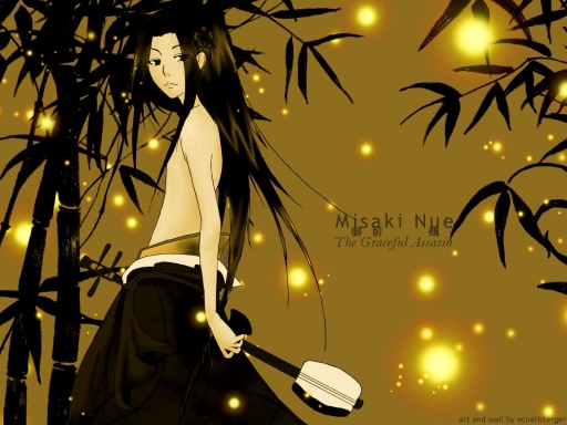 The Graceful Assassin