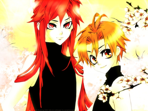 An Evening With Sakura