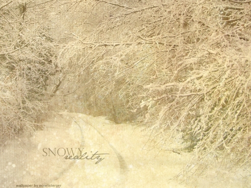 Snowy Reality