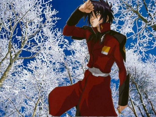 Shinn Asuka: Iced Trees