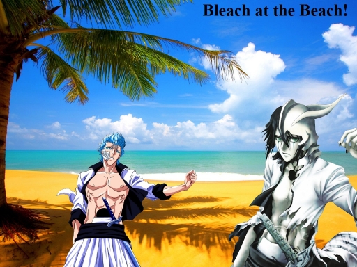 Bleach Beach
