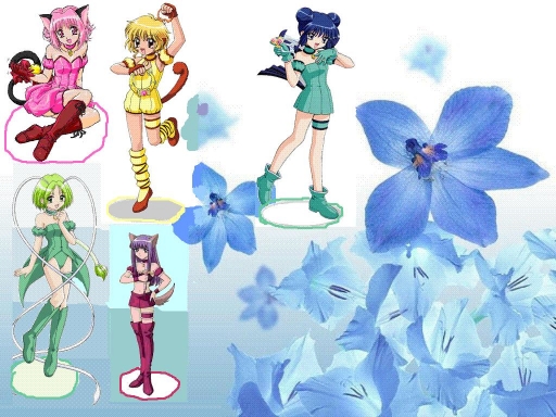 Tokyo Mew Mew Flower