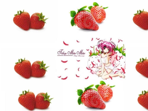 ichigo and strawberries