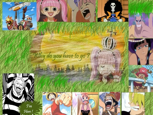 Reunion  and the tenth nakama