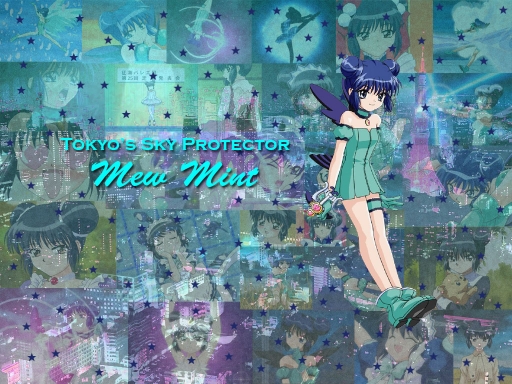 Tokyo's Sky Protector