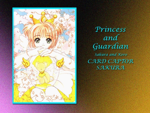 Princess and Guardian