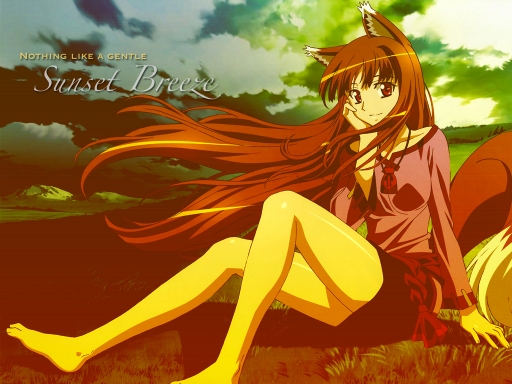 Sunset Breeze