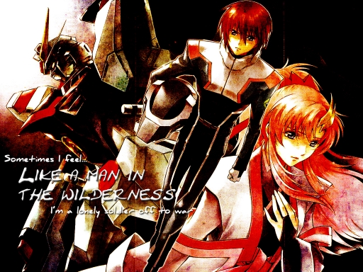 Man In the Wilderness