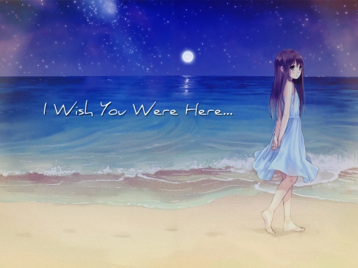 I Wish You Were Here