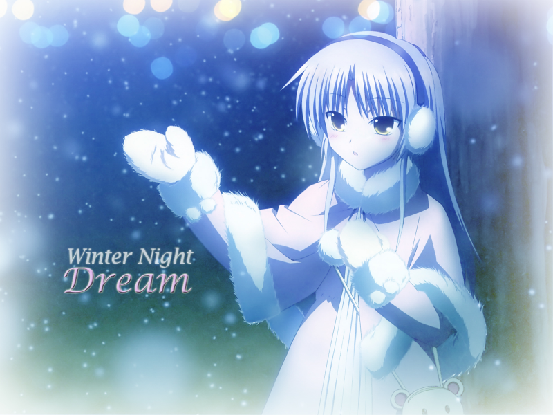 Winter Night Dream