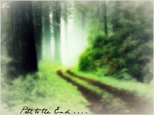 Path to the end ..