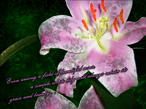 A gift for a white lily