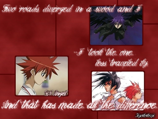 DNAngel meets Robert Frost