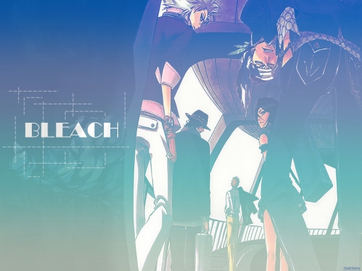 Bleach