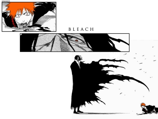 Ichigo & Zangetsu v2