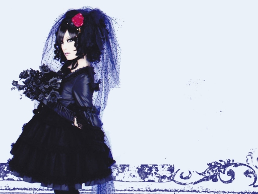 mariage de la princesse