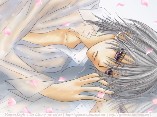 The Ghost of You and Me