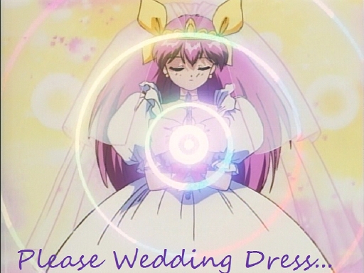 Please Wedding Dress...