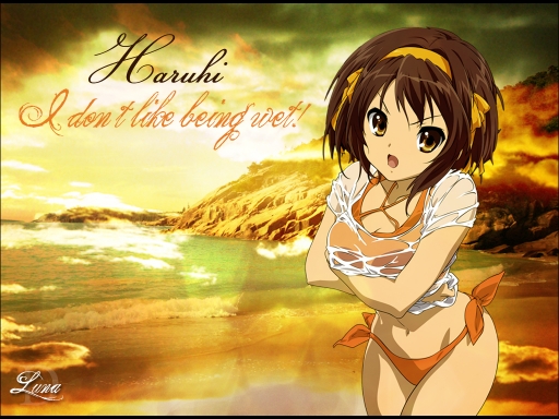 Haruhi Wet