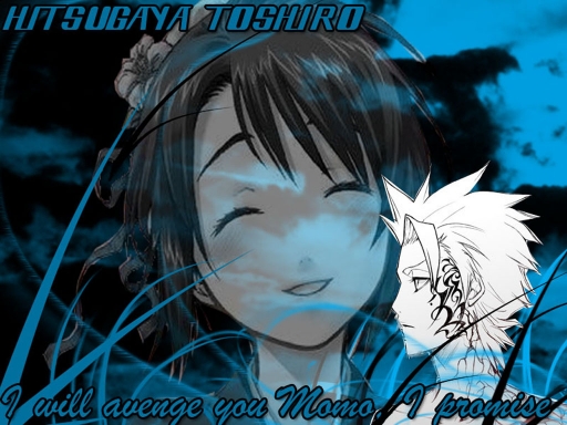 Toshiro's Promise for Vengeanc