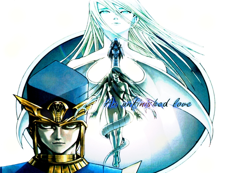 Un-finished guinea pig