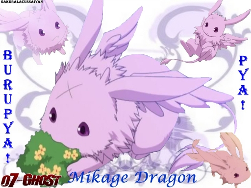 *Mikage Dragon*