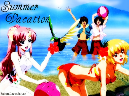 SUMMER VACATION