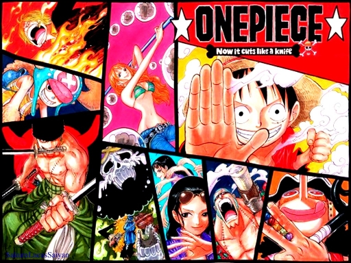 One Piece New World
