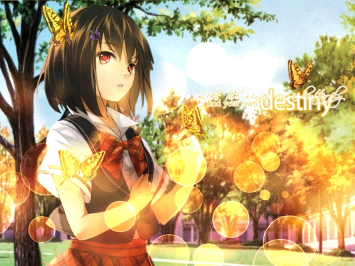 Like Butterfly Wings