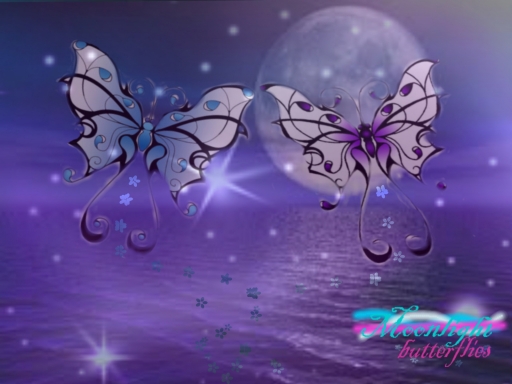 midnight butterflies